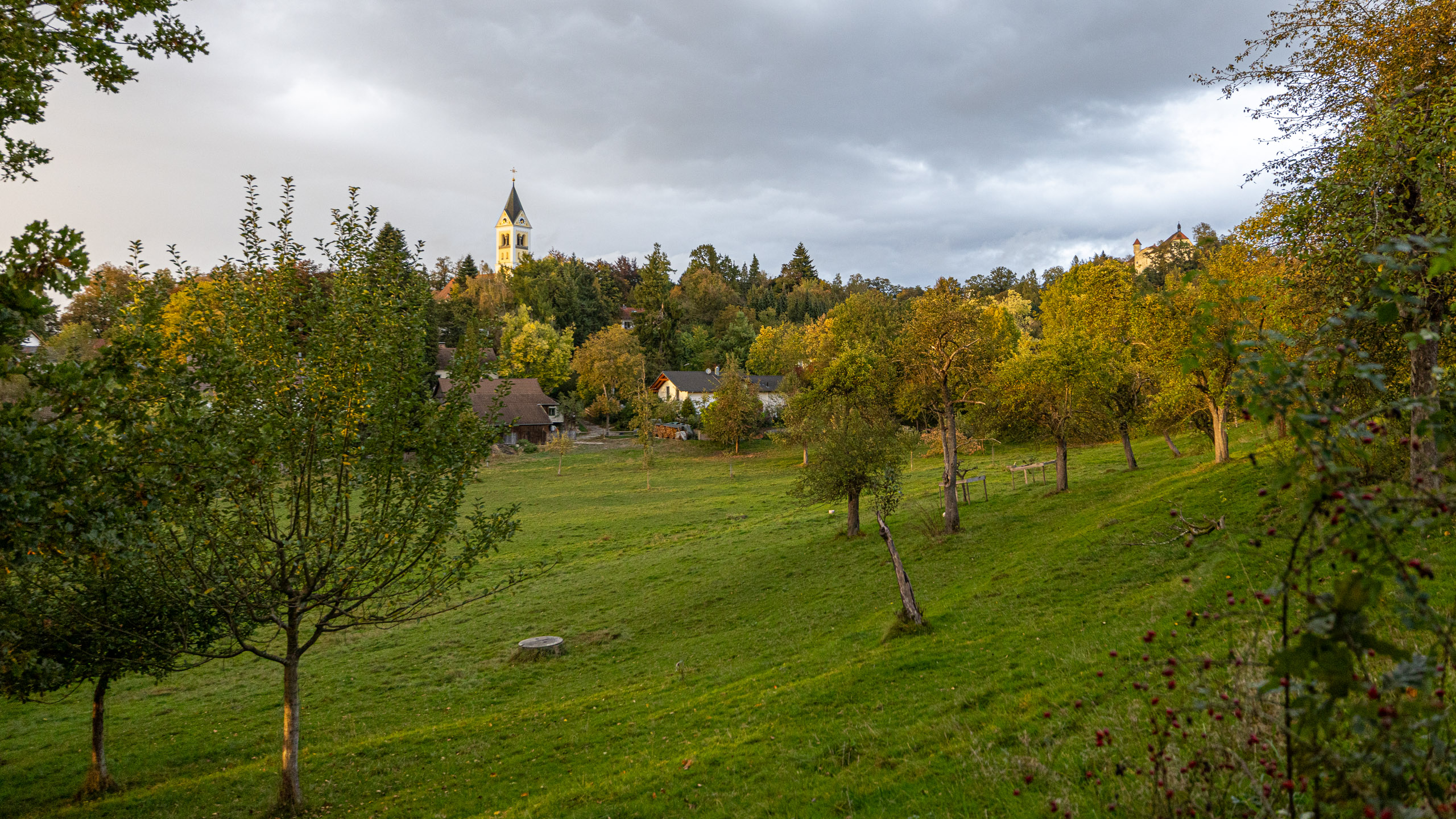 20231014173935 R5D 4215